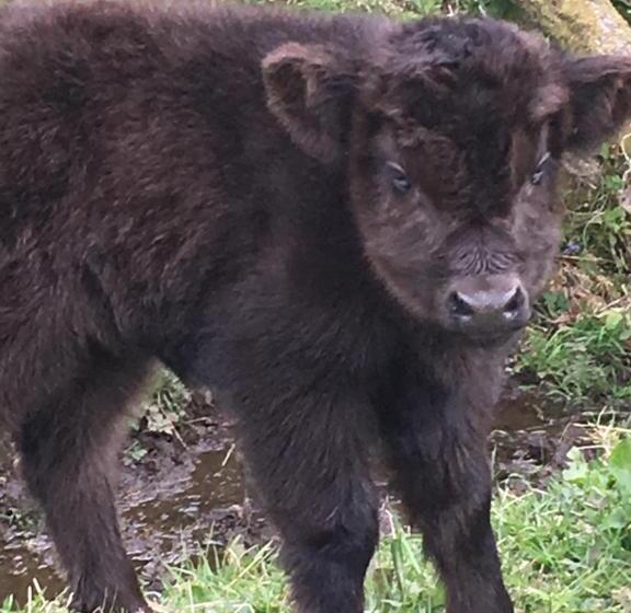 The Greannan Bed & Breakfast