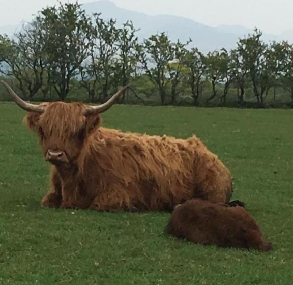 The Greannan Bed & Breakfast