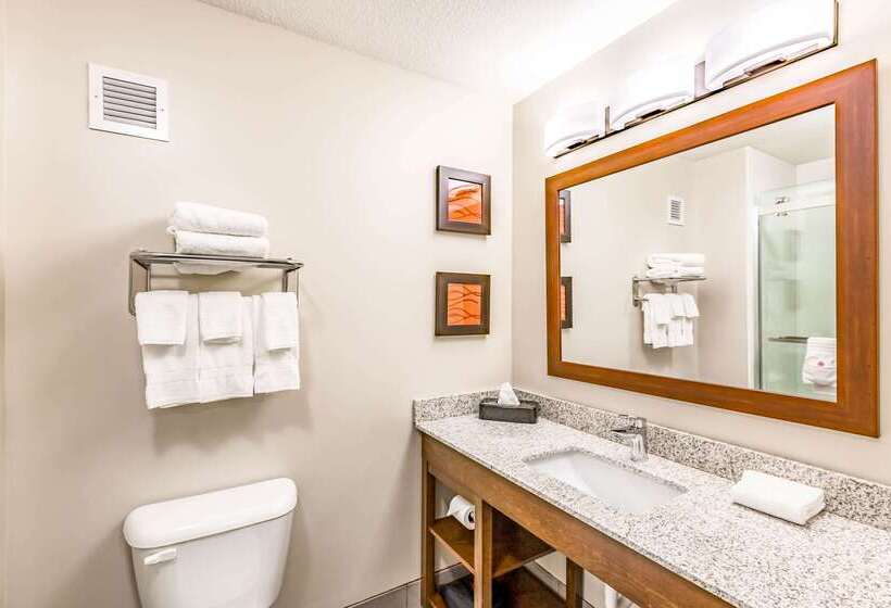 فندق Comfort Inn Altoonades Moines