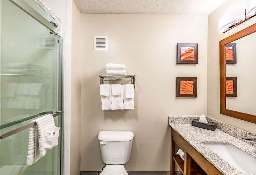 فندق Comfort Inn Altoonades Moines