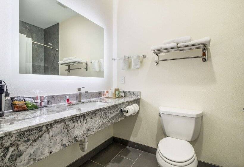 בית מלון כפרי Econo Lodge Inn & Suites Humble Fm1960  Iah Airport