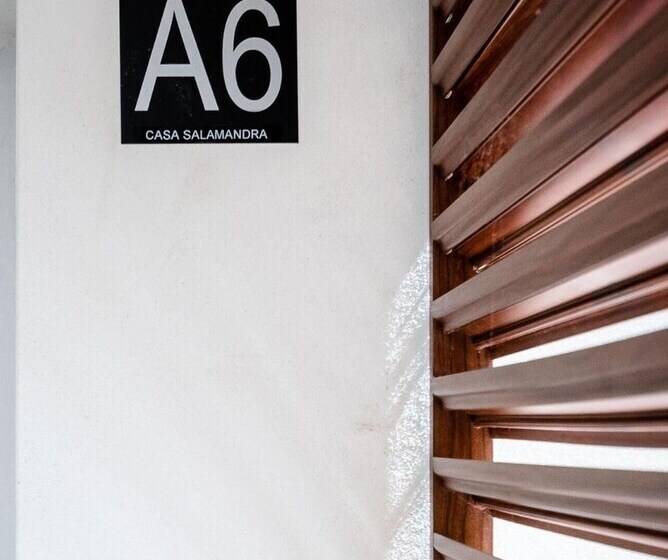 هتل Salamandra Altea 17 By Vero