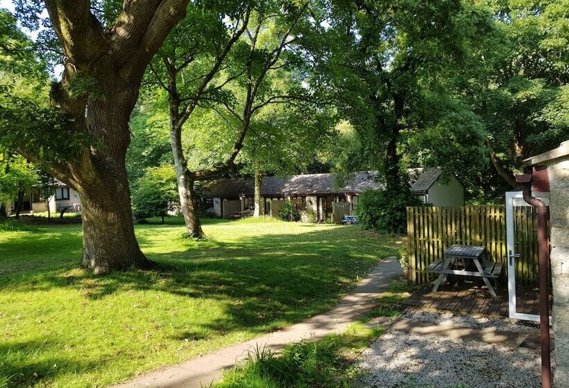 리조트 St Ives Holiday Village