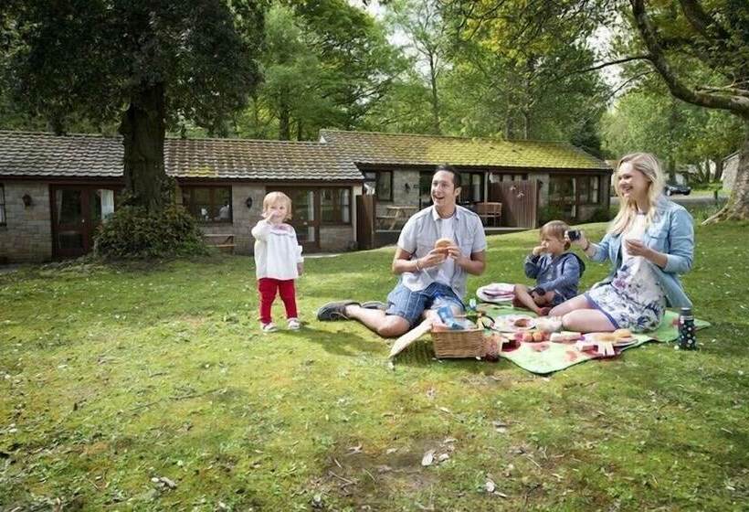 리조트 St Ives Holiday Village