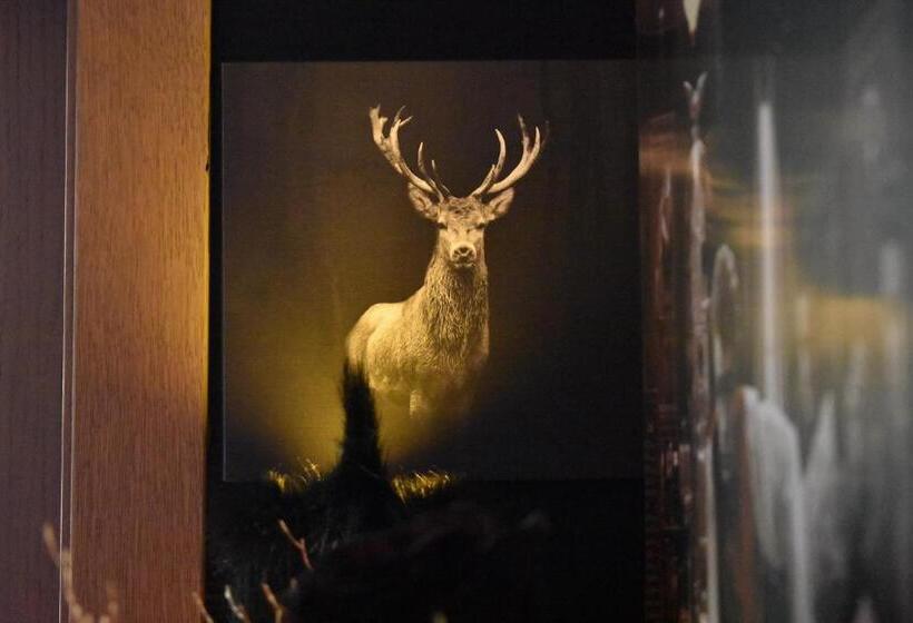 Rooms & Amoria Spa For Adults Only   Hotel Jägerhof Wörthersee