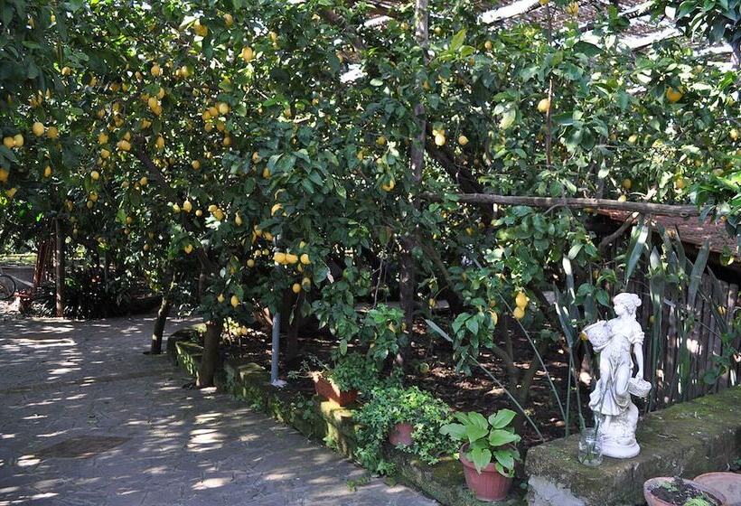 בית מלון כפרי Agriturismo Il Giardino Di Vigliano