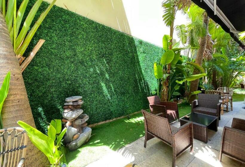 Cento Collins Stays By Mercury South Beach