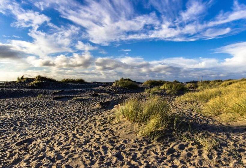 فندق The Whale At Sandstone Point