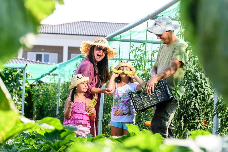 Alexandra Beach Spa Resort