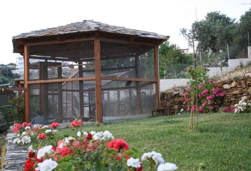 Argo Rooms & Studios