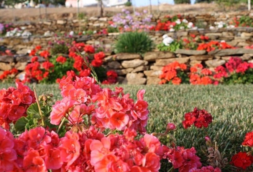 Argo Rooms & Studios