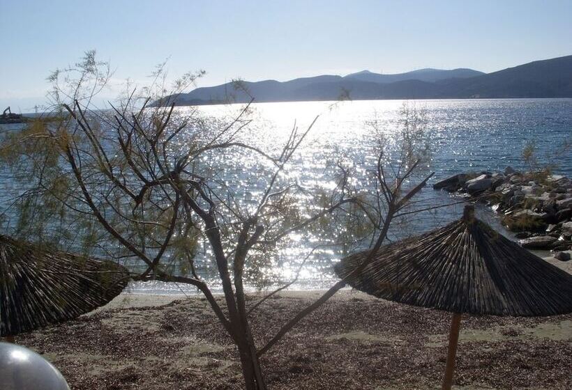 Argo Rooms & Studios