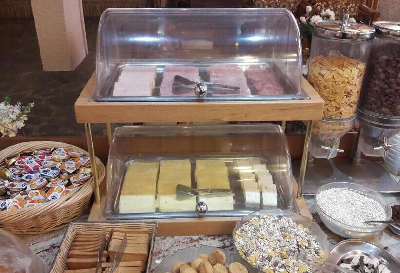 فندق Acropole Delphi City