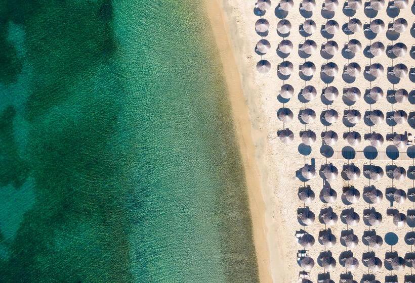 فندق Alexandros Palace