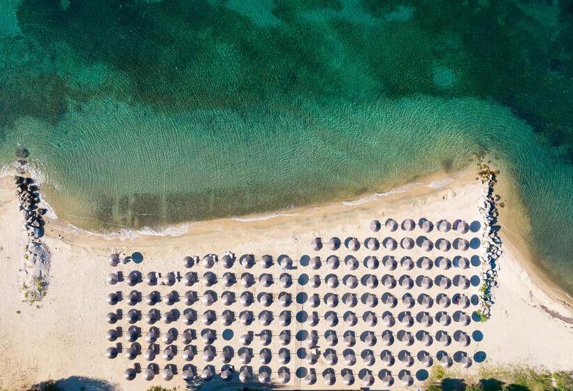 فندق Alexandros Palace