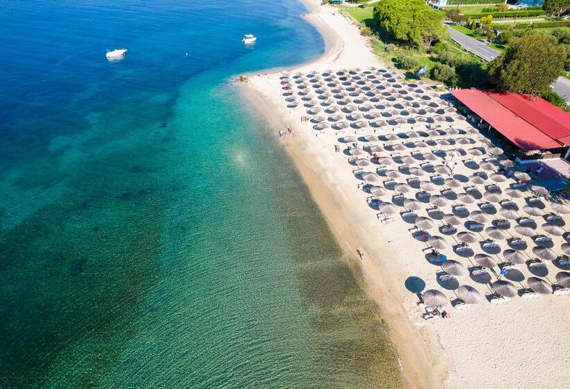 فندق Alexandros Palace