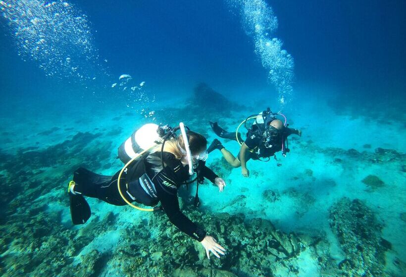 فندق Alexandros Palace