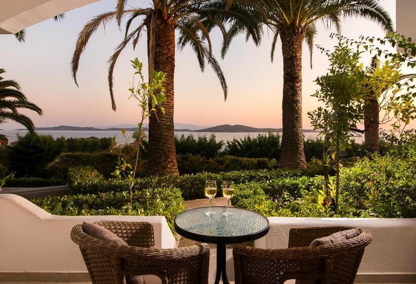 فندق Alexandros Palace