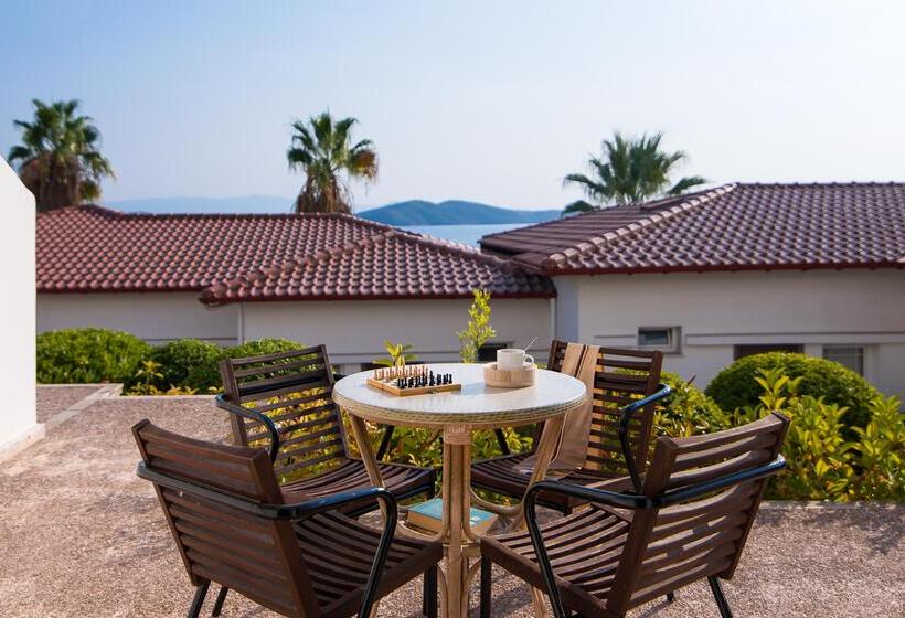 فندق Alexandros Palace