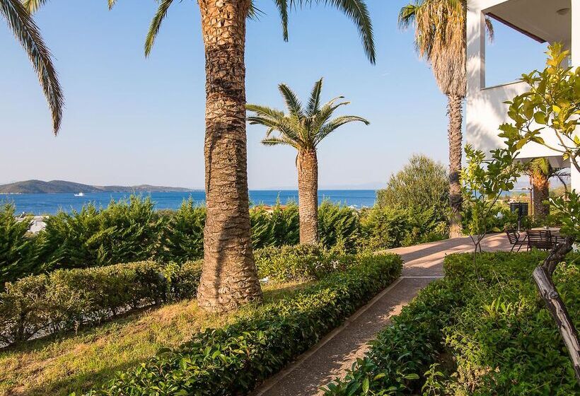 فندق Alexandros Palace