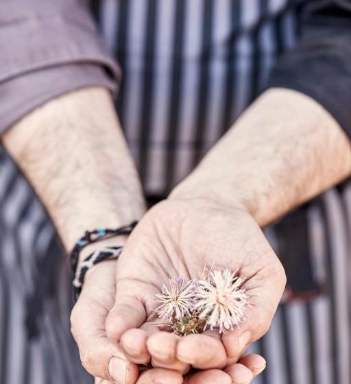 Archipelagos Hotel   Small Luxury Hotels Of The World