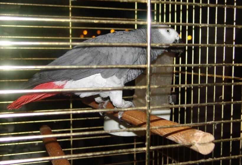 هتل Arolithos Traditional Village