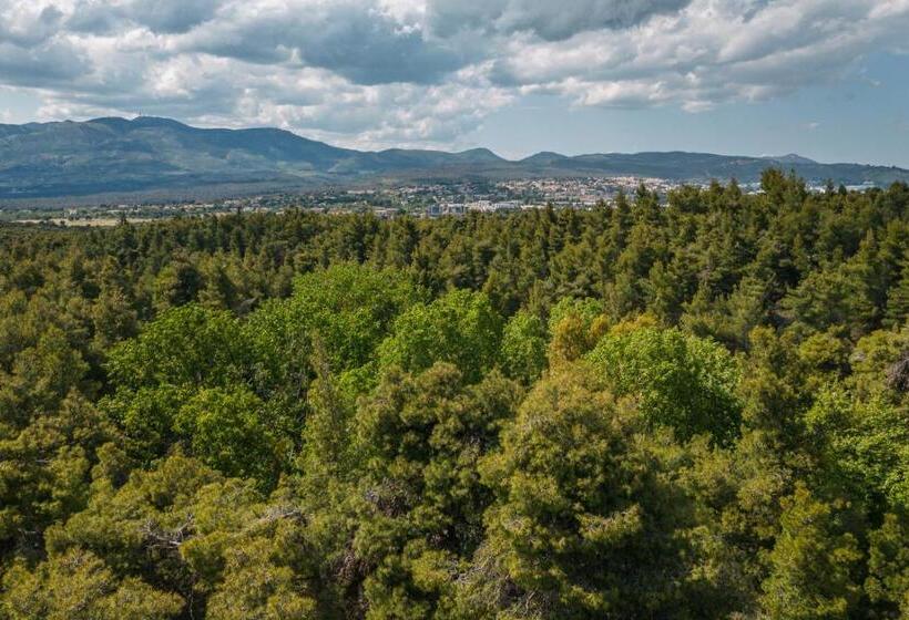 فندق Life Gallery Athens