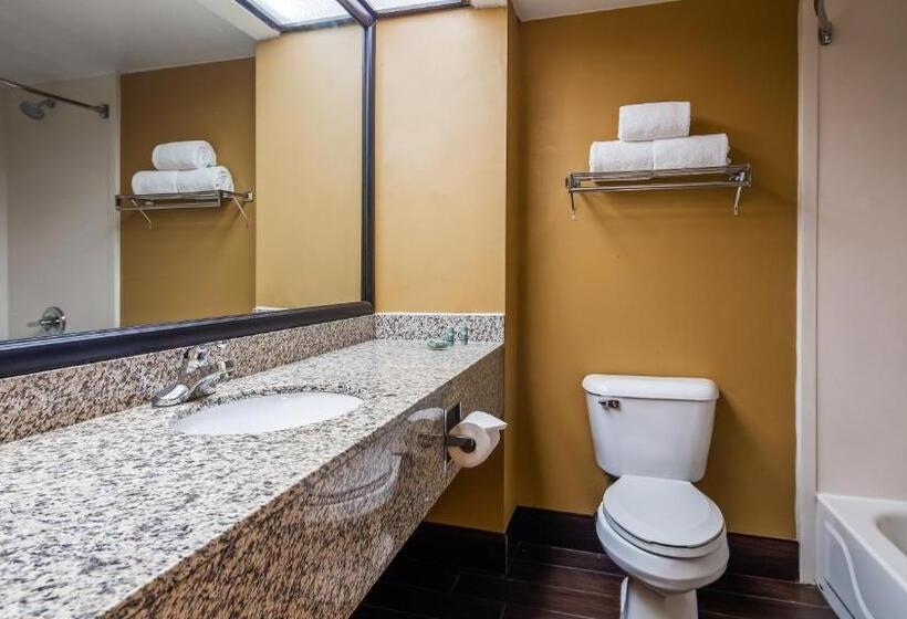 בית מלון כפרי Best Western Classic Inn