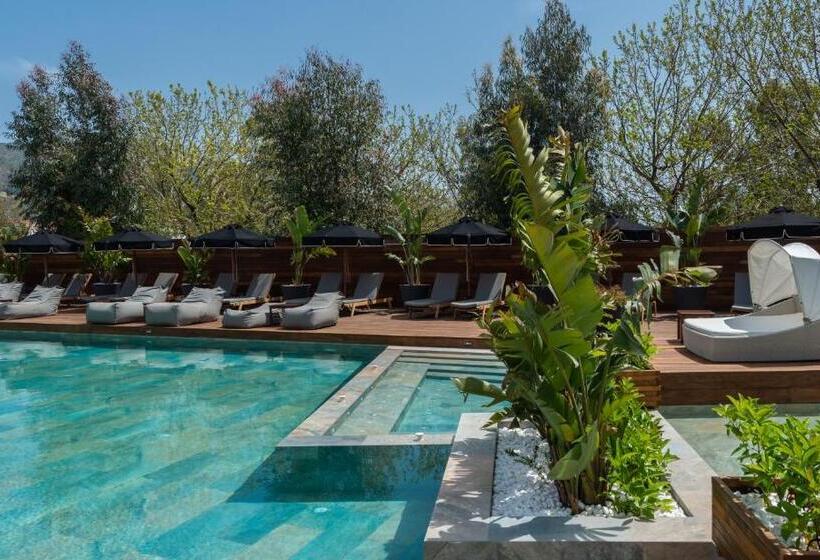 Bitzaro Palace Hotel   All Inclusive