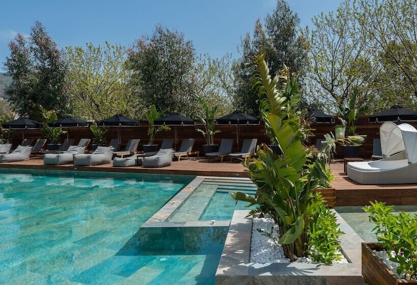 Bitzaro Palace Hotel All Inclusive