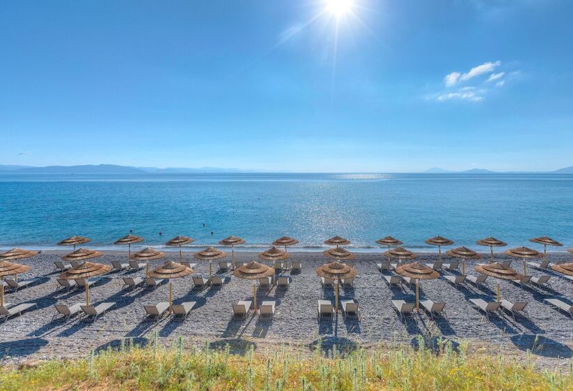 فندق Blue Lagoon Ocean