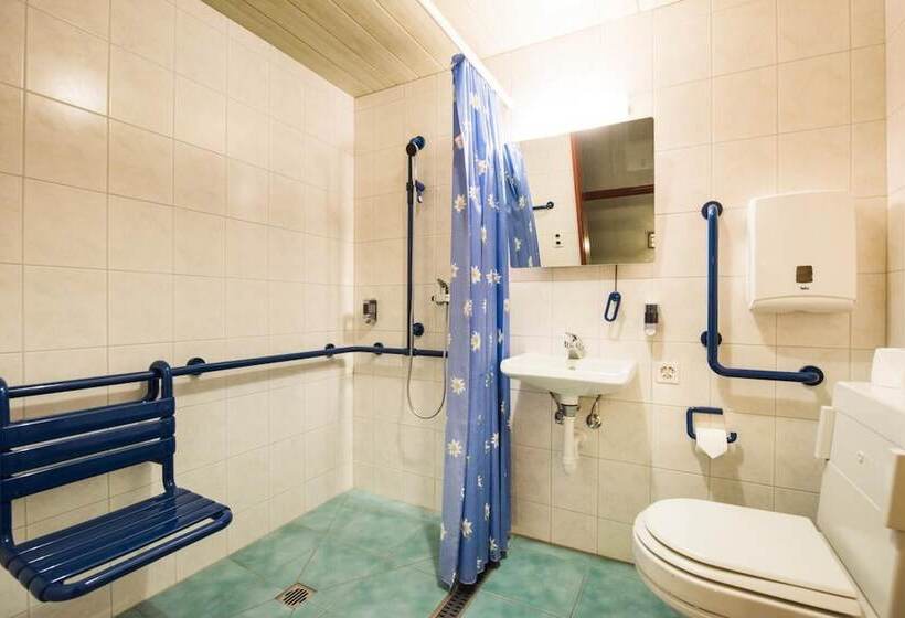 בית מלון כפרי Brienzerburli