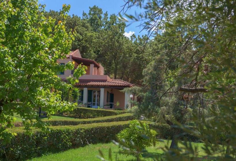 호텔 Century Resort