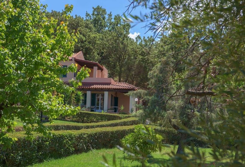 호텔 Century Resort