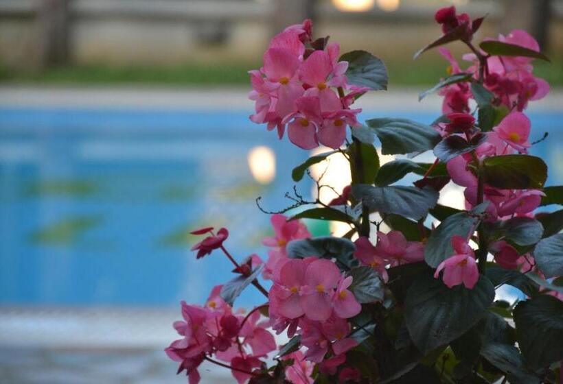 호텔 Corfu Hellinis