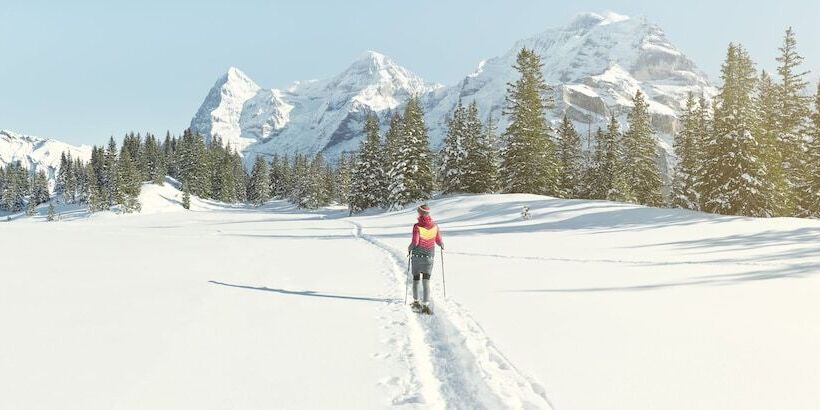 בית מלון כפרי Derby Interlaken   Action & Relax Hub