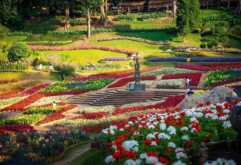 Hotel Doi Tung Lodge