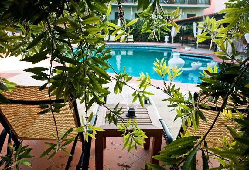 בית מלון כפרי Eden