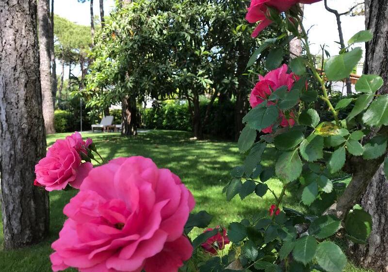 בית מלון כפרי Greif