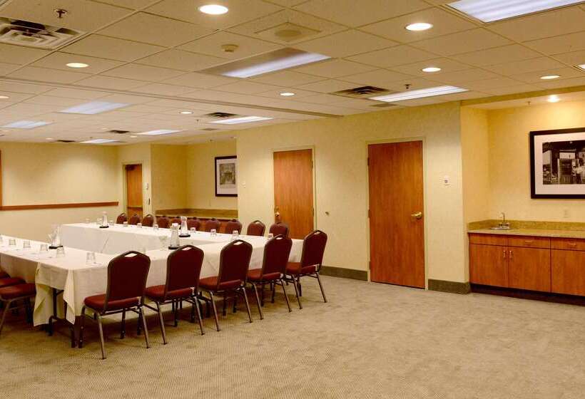 酒店 Hampton Inn & Suites By Hilton Windsor