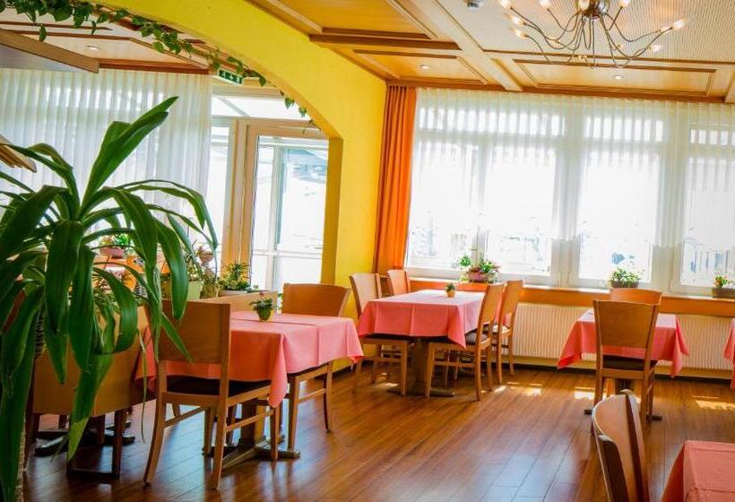 ホテル Heilquelle