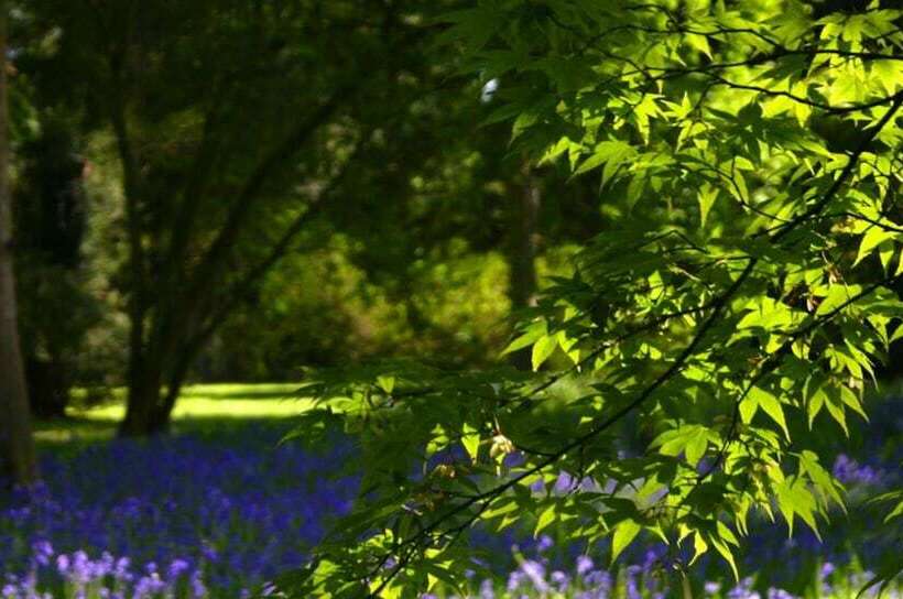 호텔 Holiday Inn Bristol Filton, An Ihg