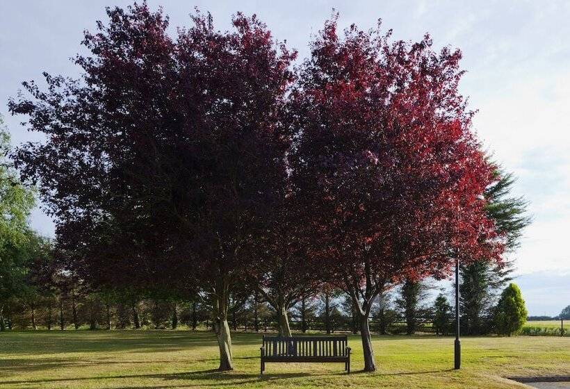 호텔 Holiday Inn Ipswich, An Ihg