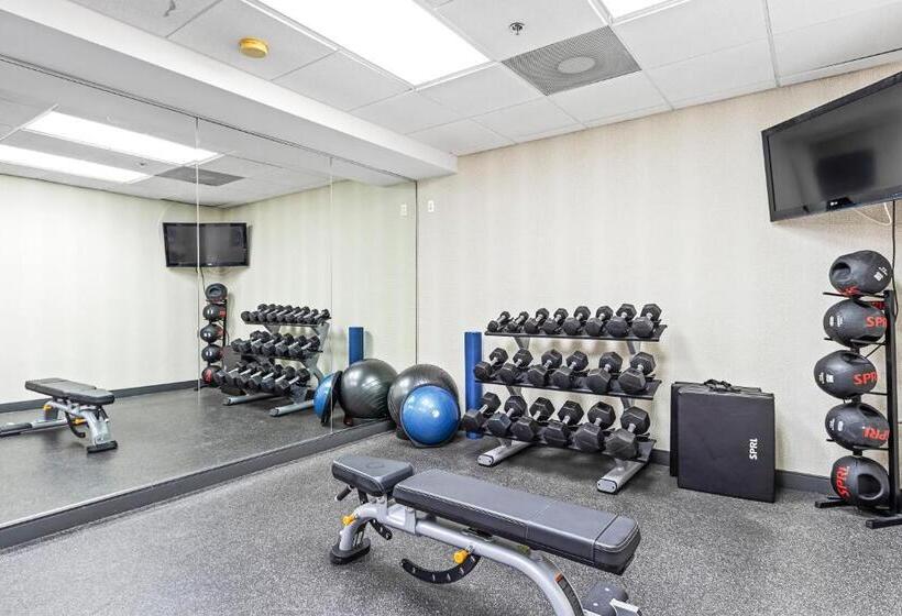 Отель Holiday Inn St. Petersburg West, An Ihg