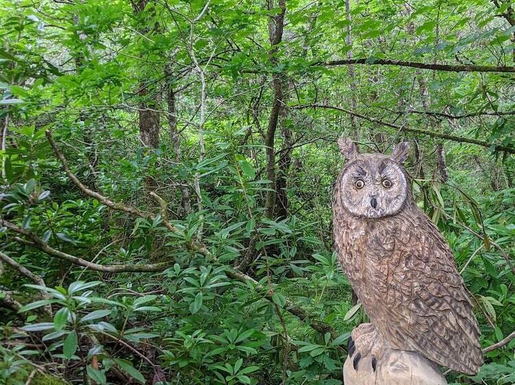 Isle Of Mull Hotel And Spa