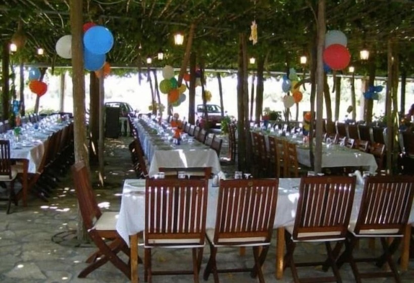 בית מלון כפרי Lintzi