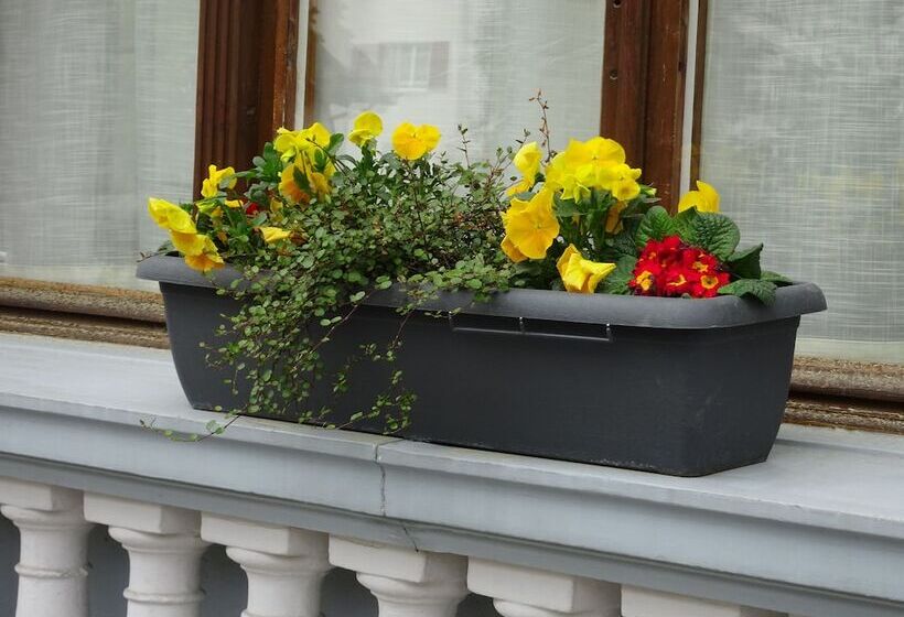 בית מלון כפרי Lötschberg