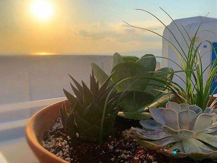 בית מלון כפרי Madalena