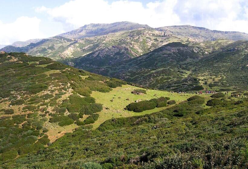 酒店 Palazzo Pischedda