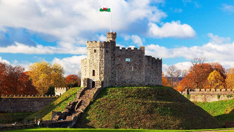 호텔 Park Plaza Cardiff